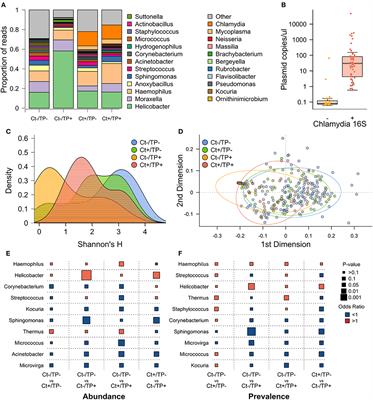 The conjunctival microbiome before and after azithromycin mass drug administration for trachoma control in a cohort of Tanzanian children